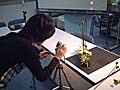 ホームページ用写真撮影